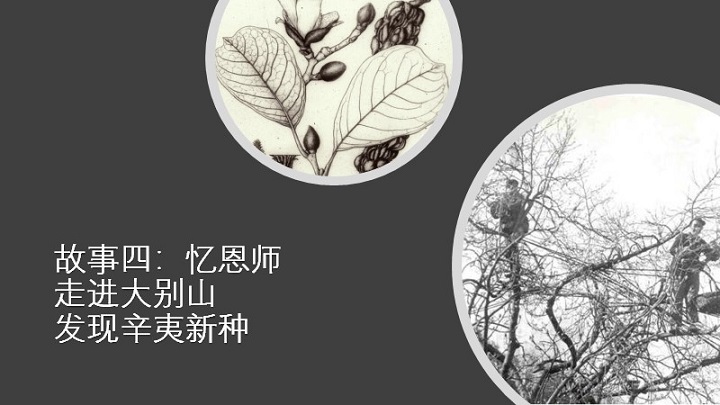 1589272508654041331.jpg 7.jpg