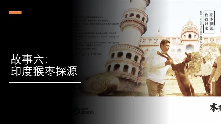 1589272537256035236.jpg 9.jpg