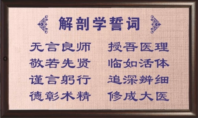 1616905669463013360.jpg 1.jpg