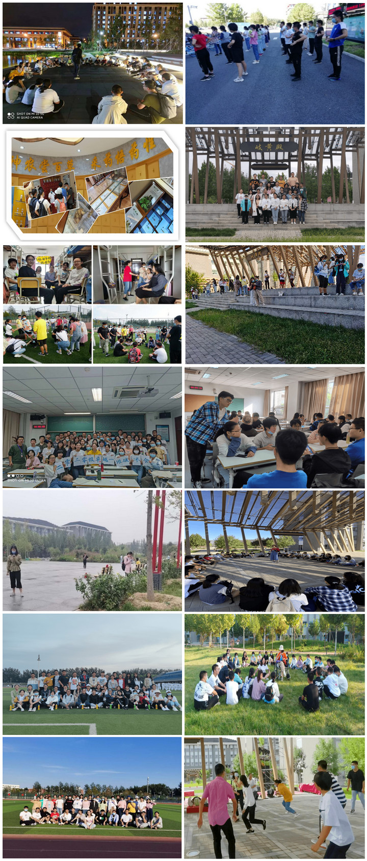 1601441839305034383.jpg 1.jpg